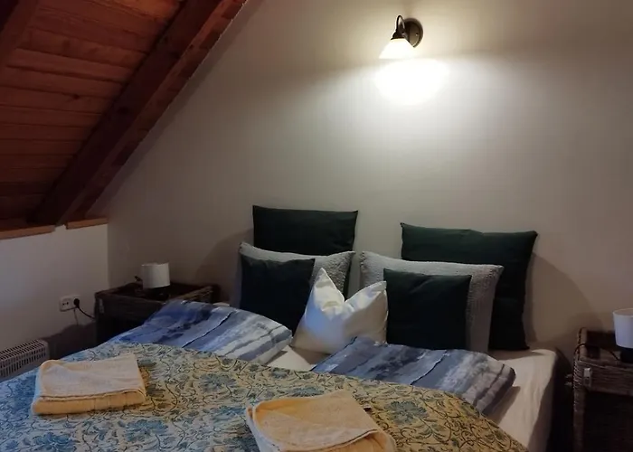 Kiskuti Vendeghaz Pensiune 4*