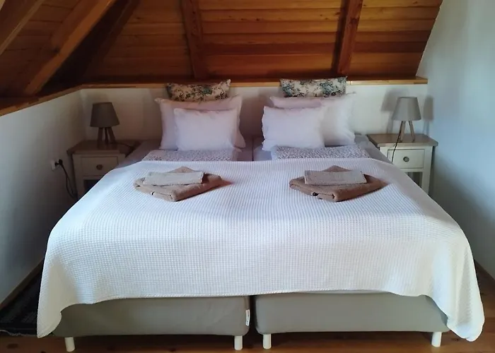 Pensiune Kiskuti Vendeghaz